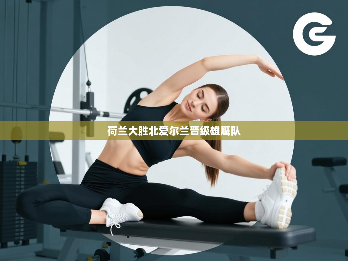 荷兰大胜北爱尔兰晋级雄鹰队  第1张