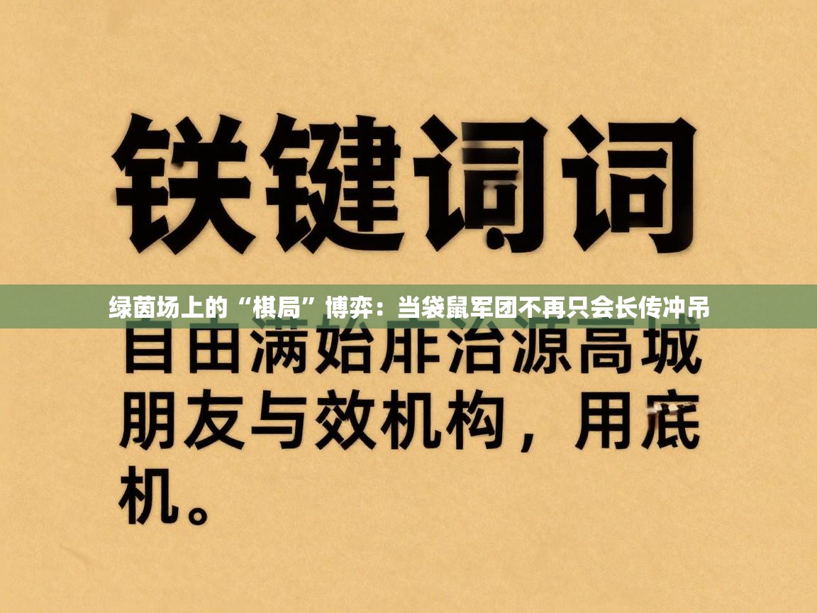 绿茵场上的“棋局”博弈：当袋鼠军团不再只会长传冲吊