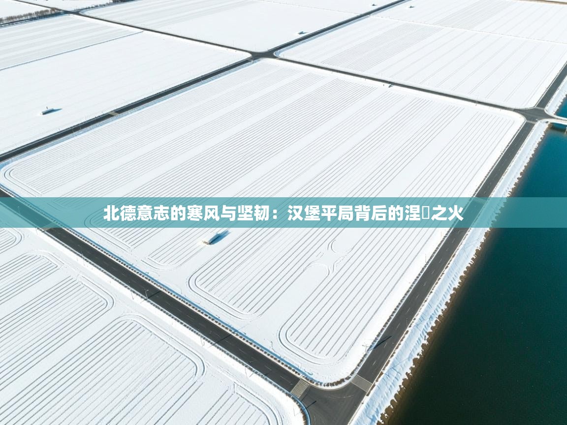 北德意志的寒风与坚韧：汉堡平局背后的涅槃之火