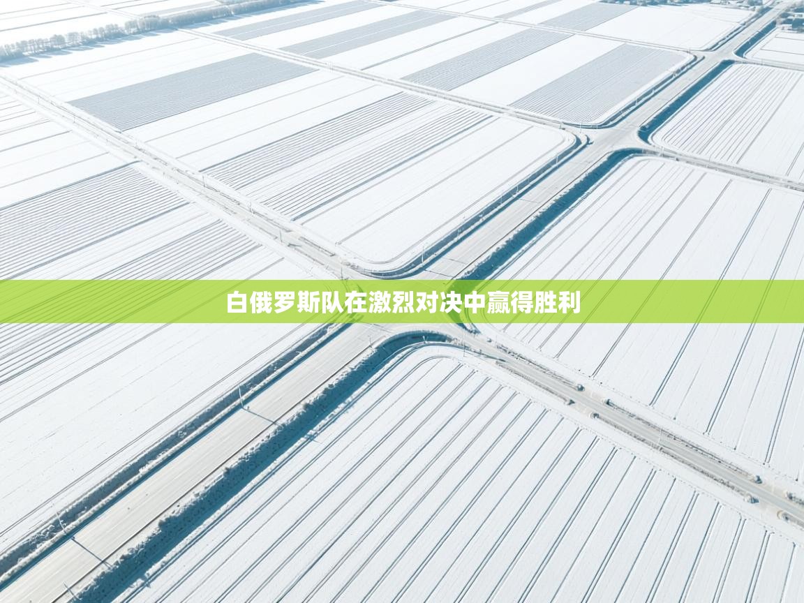 白俄罗斯队在激烈对决中赢得胜利 第2张